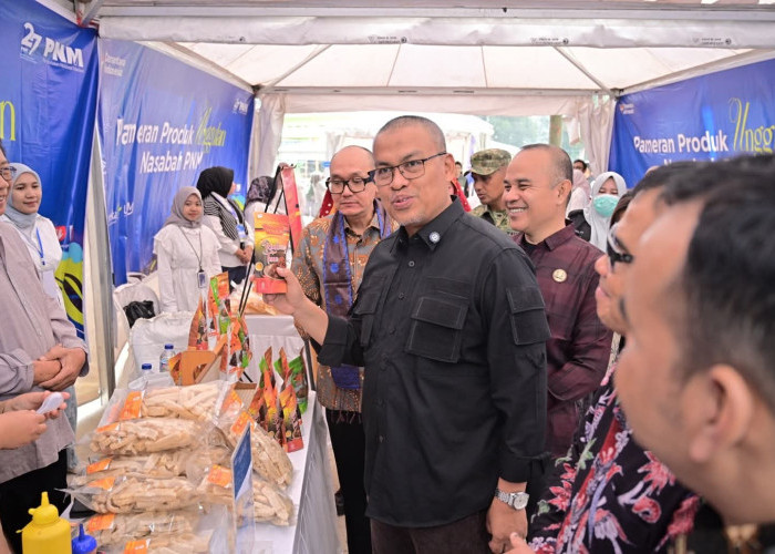 PNM Salurkan Rp12,6 Triliun untuk 384 Ribu Nasabah di Sumbar, Pemprov Apresiasi Peran Penguatan UMKM