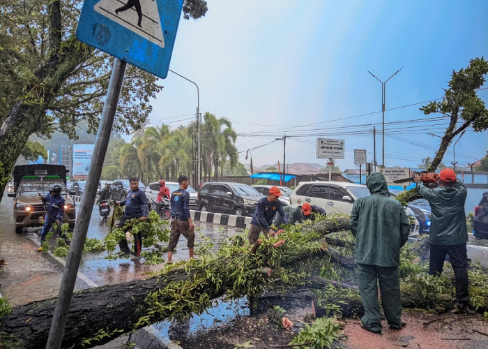 Tingkatkan Kenyamanan Pengguna Jalan, DPUPR Kota Padang Gencar Tambal Lubang di Sejumlah Ruas