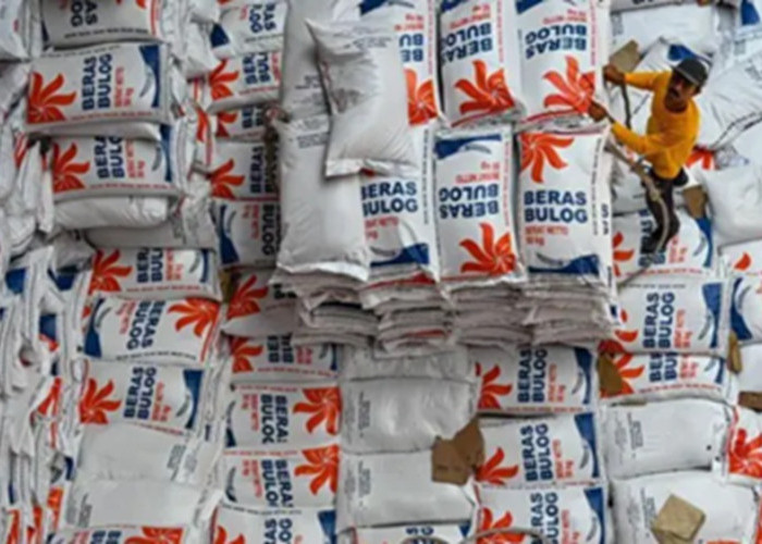 Pemkab Pasaman Barat Pastikan Stok Beras Aman dan Mencukupi Sampai Akhir Juli 2026