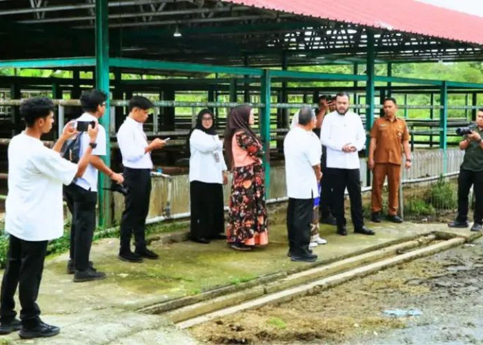 Fadly Amran Tinjau RPH Ruminansia Padang, Sejumlah Fasilitas Diperbaiki pada 2027