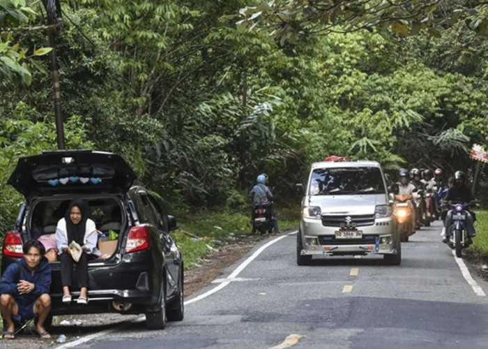 Akses Penghubung Jambi-Sumbar-Bengkulu Aman Dilintasi Wisatawan