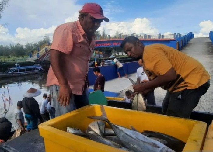 Strategi Nelayan Pariaman Menghadapi Cuaca Buruk demi Pasokan Ikan