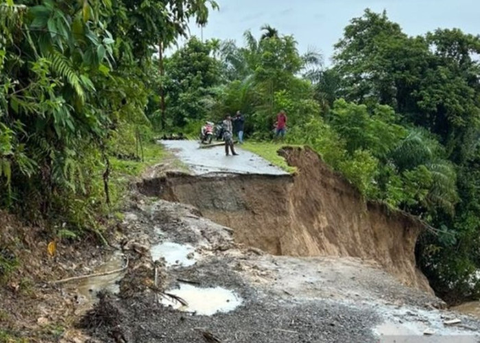 Pemkab Padang Pariaman Gerak Cepat Buka Akses Jalan Terputus Bencana Longsor