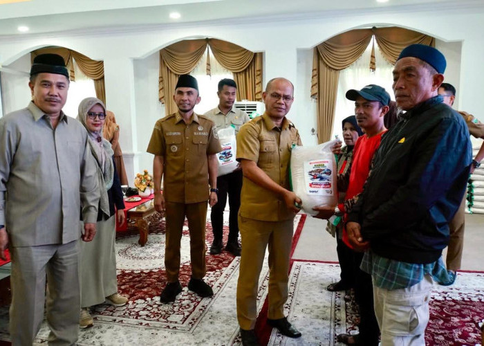 34 KK Terdampak Bencana di Padang Panjang Terima Bantuan Beras CBP