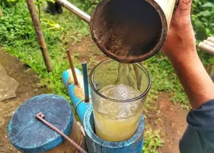Aia Niro, Minuman Manis Alami Berbahan Aren