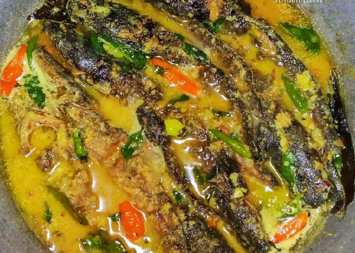 Resep Mangut Lele, Hidangan Pedas Gurih Khas Nusantara yang Bikin Nagih