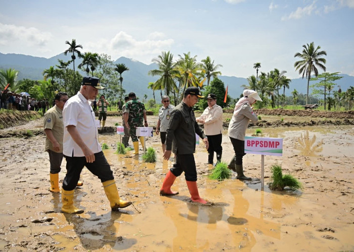 Kemendagri Apresiasi Percepatan Rehabilitasi Lahan Terdampak Bencana di Sumbar