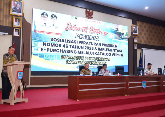 Pemanfaatan e-Katalog Versi 6 Diperkuat, Pelaku UMKM Payakumbuh Diminta Segera Masuk INAPROC