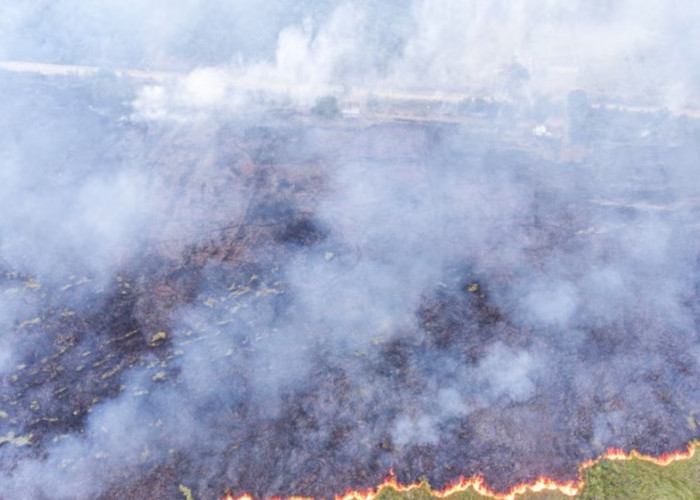 Kabut Asap Karhutla dari Provinsi Tetangga Selimuti Sejumlah Wilayah di Sumbar