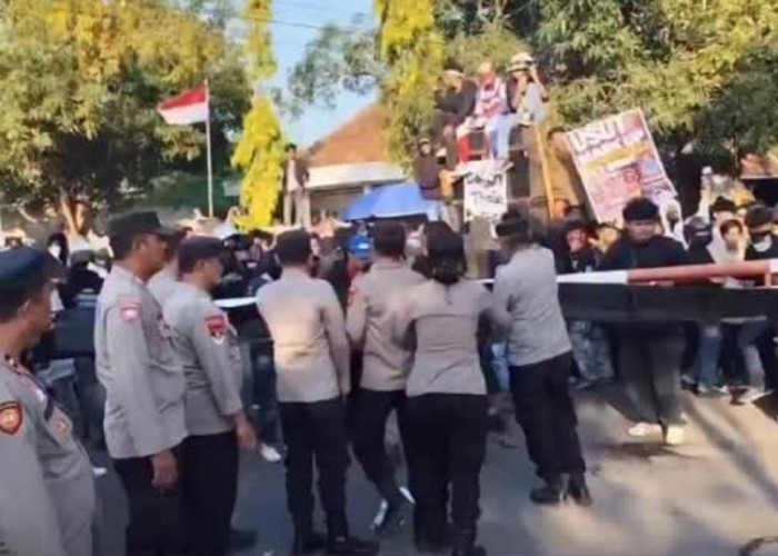 Aksi Ekstrem Aliansi Topi Jerami: Protes Pelayanan PDAM dengan Lempar Puluhan Ular