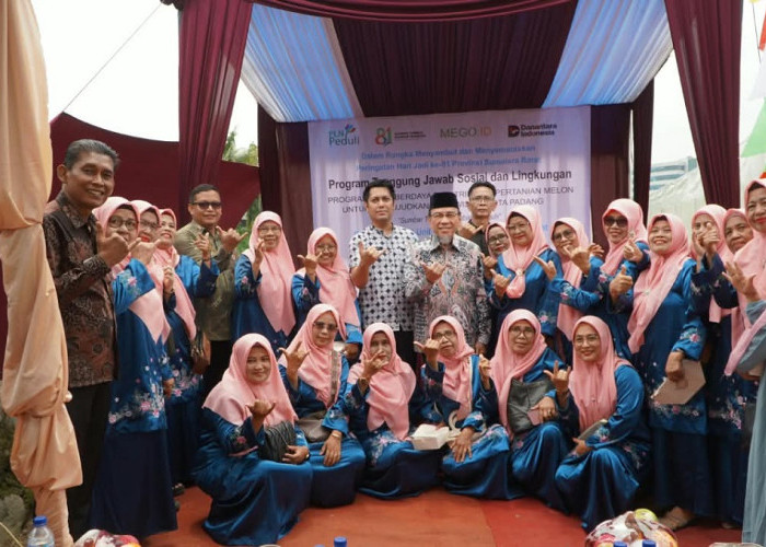 Pemkot Padang Apresiasi Dukungan PLN Kembangkan Urban Farming Lewat Program TJSL
