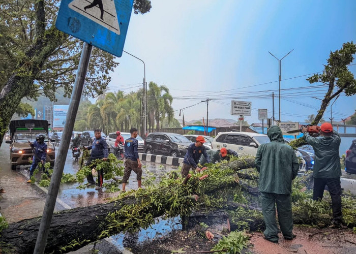Waspada Bencana Hidrometeorologi dan Asap, BPBD Kota Padang Minta Warga Gunakan Masker