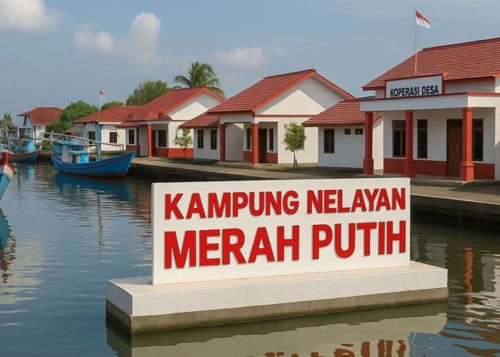 Realisasi Pembangunan 2 Kampung Nelayan Merah Putih, Pemkot Pariaman Intensifkan Koordinasi dengan KKP