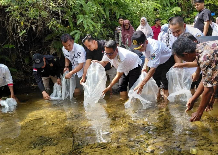 Lestarikan Sungai Gayo, Wabup Risnaldi Tebar 10.000 Benih Ikan Garing Bersama Pokmaswas