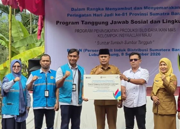 PLN Salurkan CSR Rp106,5 Juta untuk Budidaya Ikan Mas di Lubuk Basung