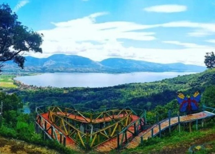 Puncak Gobah, Negeri di Atas Awan dengan Panorama Terbaik di Sumbar