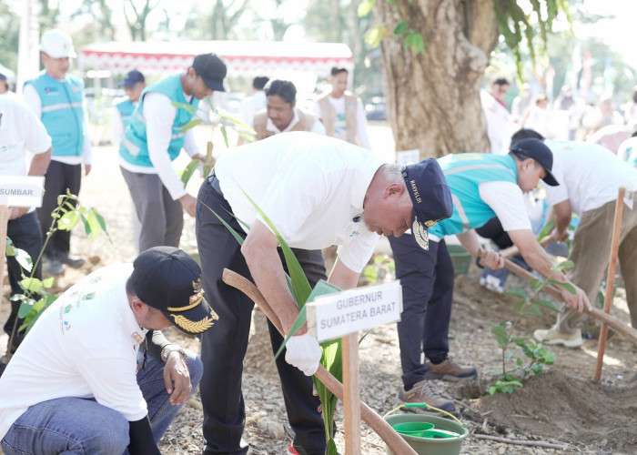 Pulihkan Lingkungan Pasca-Galodo, Pemprov Sumbar Tanam 1.000 Pohon di Hutan Kota Malvinas