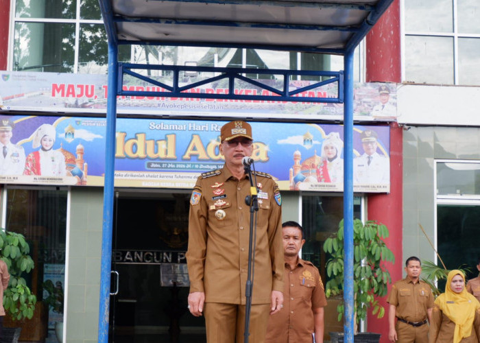 Dongkrak Layanan Kesehatan, Pemkab Pessel Terima Kucuran Alkes dan Dana APBN 2026 Puluhan Miliar