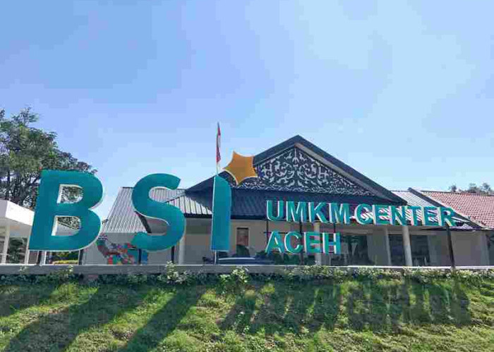 Tak Sekadar Salurkan Pembiayaan, BSI Bangun Ekosistem UMKM Nasional Bersama Danantara