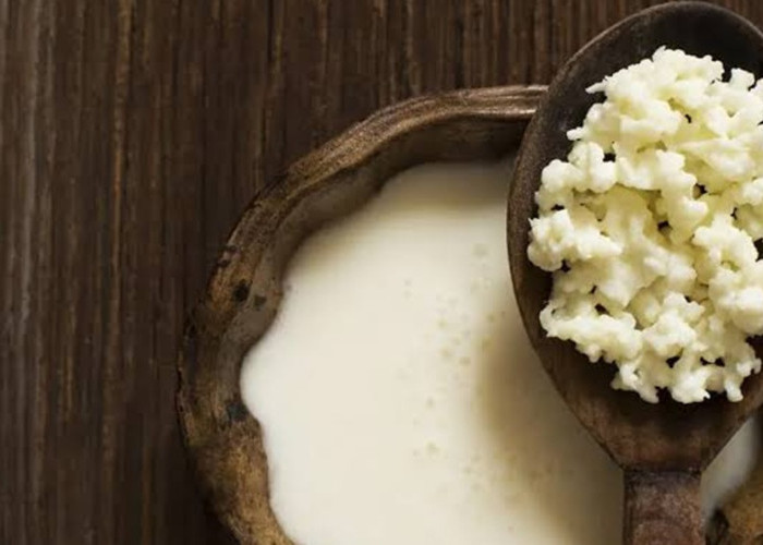 Minuman Probiotik untuk Diet: Ini 4 Pilihan yang Bisa Jadi Alternatif Kombucha