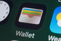 Mengenal 4 Jenis Dompet Digital dan Perbedaannya: Dari Closed Hingga Crypto Wallet