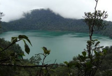 Danau Laut Tinggal Pasaman Barat, Pesona Danau Toska di Tengah Hutan Pegunungan