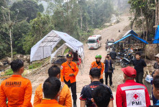 Tergelincir dan Hanyut, Wisatawan Asal Padang Pariaman Ditemukan Meninggal di Air Terjun Harau