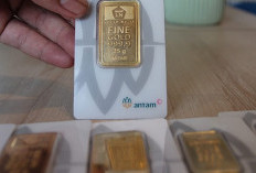 Harga Emas Pegadaian Hari Ini 14 Juli 2026 Turun, Antam, UBS, dan Galeri24 Kompak Terkoreksi