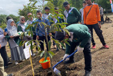 Bupati Yulianto Bersama Forkopimda Pasbar Tanam Ratusan Pohon Buah di Hutan Kota Padang Tujuh
