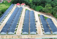 Pemkab Agam Cari Lahan Alternatif 3,5 Hektare untuk Bangun Huntap Korban Bencana