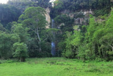Sarasah Tanggo, Air Terjun di Lima Puluh Kota dengan Suasana Alam Nan Asri