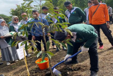 Pemkab Pasaman Barat Tanam 387 Bibit Buah di Hutan Kota Padang Tujuh