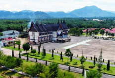 Investasi Pasaman Barat Semester I 2026 Capai Rp766,13 Miliar, Raih Peringkat III se-Sumbar