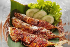 Resep Ikan Kembung Ala Padang, Pedas Gurih Bikin Nasi Nambah Terus
