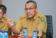 BPS Rilis Pertumbuhan Ekonomi Sumbar: Sektor Pertanian Masih Mendominasi PDRB