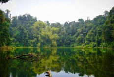 Danau Bontak Solok Selatan, Surga Tersembunyi di Balik Perbukitan Asri