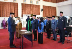 Boby Firman Resmi Jabat Kepala DP3AP2KB, Syafriadi Ditunjuk Jadi Plt Kadis Kominfo Padang