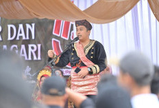 Alami Kecelakaan Tunggal Pulang dari Solok Selatan, Wagub Vasko Luka-luka