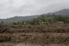 Upaya Rehabilitasi Sawah Pascabencana Sumatra, Kementan Alokasikan Anggaran Rp336 miliar