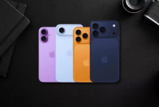 Daftar Lengkap Harga iPhone di iBox September 2026: iPhone 15 hingga 17 Alami Penyesuaian