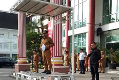 Angkat Nuansa Kemaritiman di Carocok Painan, Wabup Risnaldi Ajak Sukseskan MTQ XLII Pessel