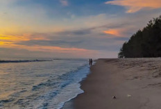 Melongok Pesona Keindahan Pantai Tiram di Padang Pariaman, Banyak Spot Foto Estetik!