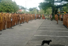 Pemko Padang Resmi Berlakukan WFA bagi ASN Selama Libur Nyepi dan Idulfitri 2026