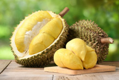 Tips Memilih Durian yang Bagus dan Matang Sempurna, Cek Aroma hingga Tangkainya