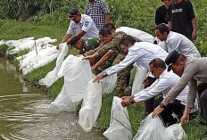 Pemulihan Perikanan Padang Pariaman, 240 Ribu Bibit Ikan dan 7 Ton Pakan Disalurkan