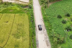 Infrastruktur Jalan Provinsi Sumbar Terus Digenjot, Tujuh Kilometer Rampung hingga Agustus 2026