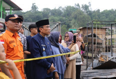 Kebakaran Limau Manis Padang Telan Kerugian Rp3 Miliar, Pemko Bantu 9 KK Terdampak