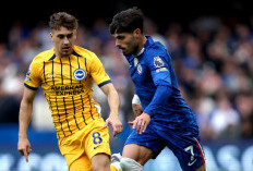 Jadwal Liga Inggris: Chelsea Siap Bangkit Lawan Brighton