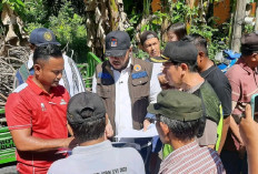 Fadly Amran Tinjau Banjir Dadok Tunggul Hitam, Pastikan Warga Dapat Bantuan Kemensos