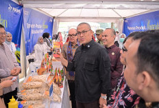 PNM Salurkan Rp12,6 Triliun untuk 384 Ribu Nasabah di Sumbar, Pemprov Apresiasi Peran Penguatan UMKM